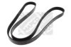 MAPCO 261680 V-Ribbed Belts